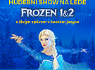 Frozen 1&2 - Hudební show na ledě