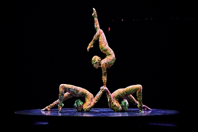 Cirque du Soleil: KOOZA