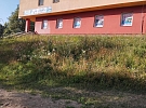 Seč veřejné zeleně na Plešivci, ve Spolí a na Slupenci