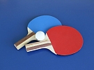 STOLNÍ TENIS ve sportovní hale