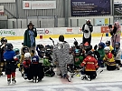 Karnevalové masky zaplavily led na tréninku přípravky
