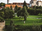 Péče o stromy nekončí výsadbou. Řez jim může pomoci, někdy je ale nutné je nahradit