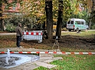 Na Sadech ozdravují stromy