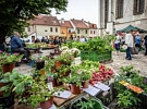 Trhy budou na podzim od 7.00 hodin - upozornění