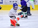 Přijďte 28. září od 9 hodin s dětmi na nábor a užijte si spoustu hokejové zábavy!