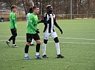 Dynamo přetlačilo v přípravném klání Příbram